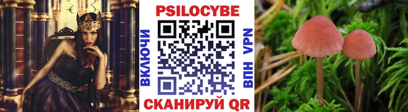 Псилоцибиновые грибы мицелий  МЕГА tor  Рассказово 