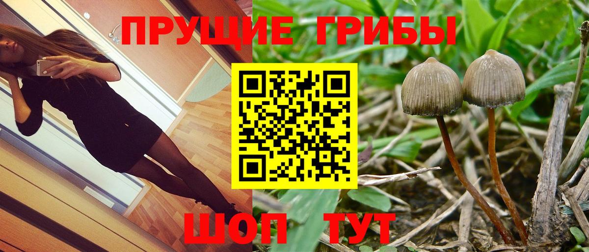 Псилоцибиновые грибы мухоморы Рассказово