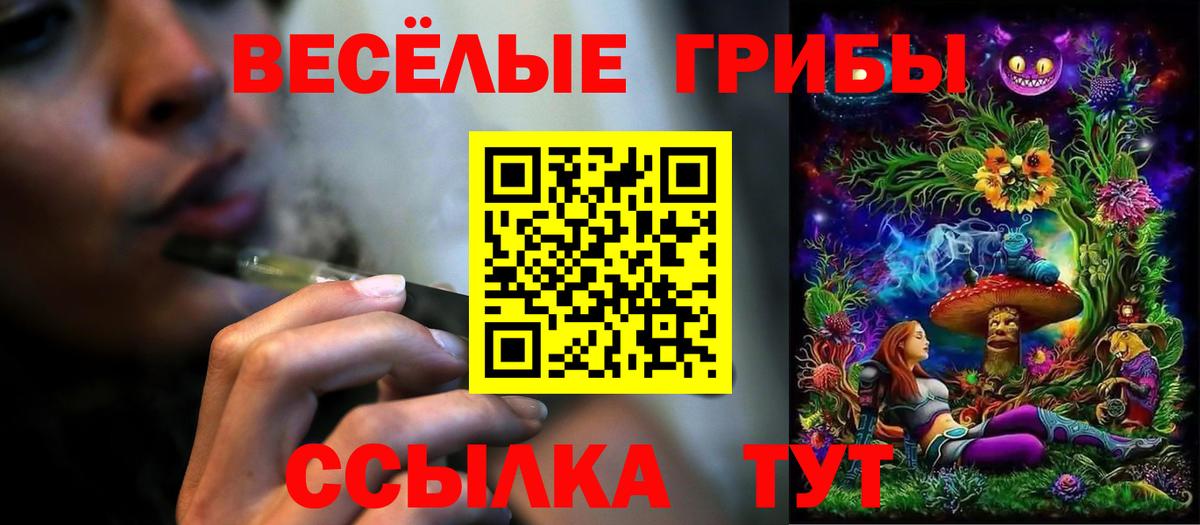 Рассказово  Галлюциногенные грибы GOLDEN TEACHER  Вход с VPN 