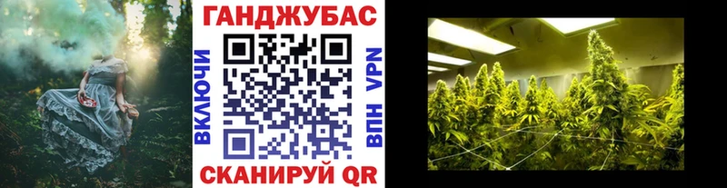 Шишки марихуана конопля  hydra зеркало  Рассказово 